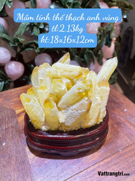Mầm tinh thể thạch anh vàng 18cm