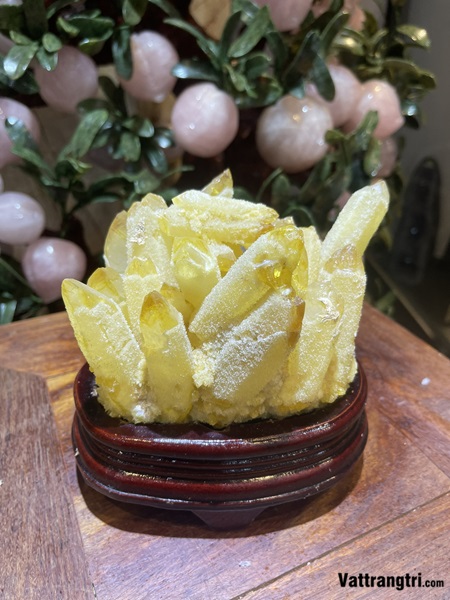 Mầm tinh thể thạch anh vàng 18cm