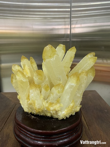 Mầm tinh thể thạch anh vàng 20cm