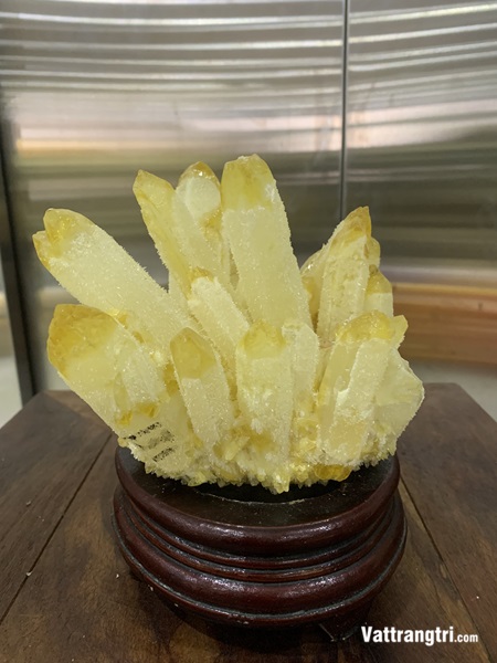 Mầm tinh thể thạch anh vàng 20cm