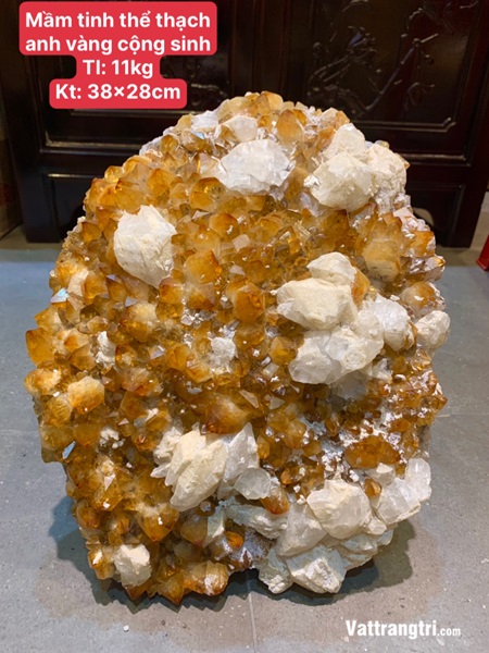 Mầm tinh thể thạch anh vàng cộng sinh 38cm
