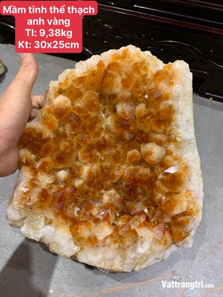 Mầm tinh thể thạch anh vàng vip 30cm