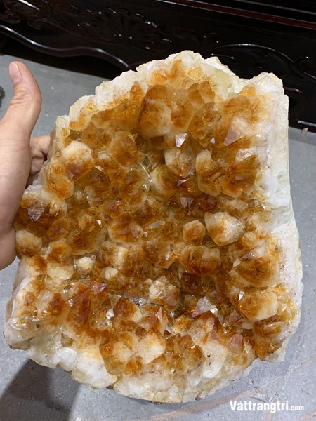 Mầm tinh thể thạch anh vàng vip 30cm