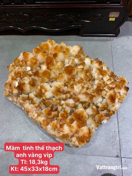Mầm tinh thể thạch anh vàng vip 45cm