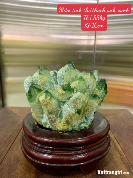 Mầm tinh thể thạch anh xanh 16cm