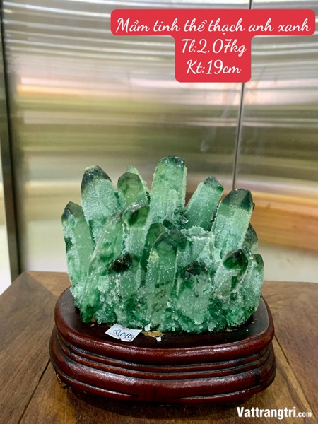 Mầm tinh thể thạch anh xanh 16cm