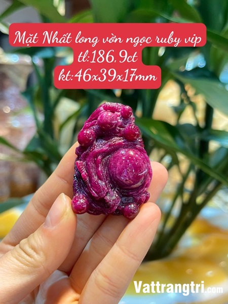 Mặt Nhất long vờn ngọc Ruby vip