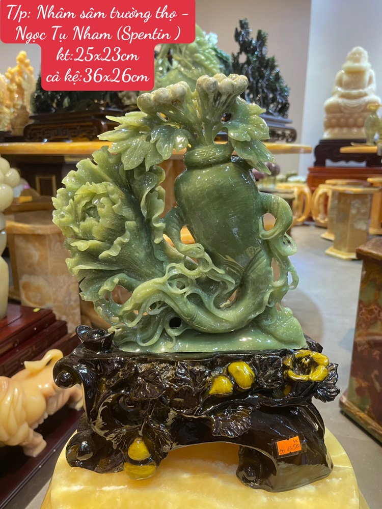 Tp Nhâm Sâm Trường Thọ Ngọc Tụ Nham