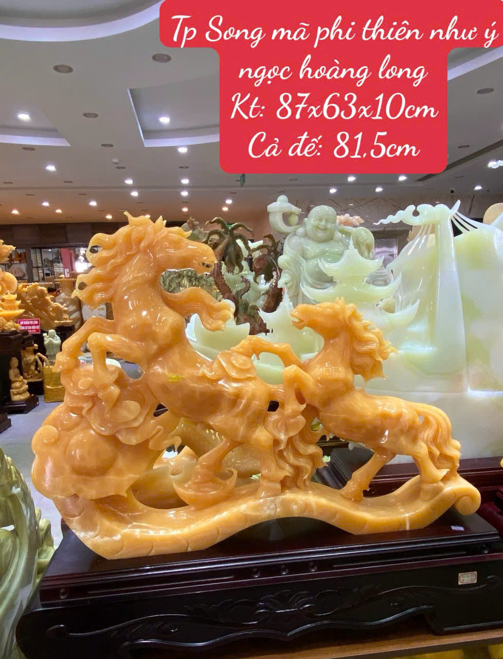 Tp Song Mã Phi Thiên Như Ý Ngọc Hoàng Long