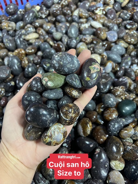 Vụn Cuội Đá Mã Não Đủ Size