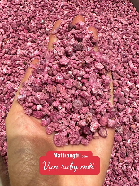 Vụn Ruby Thả Bể Cá Tiểu Cảnh