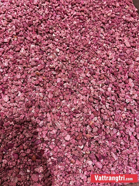 Vụn Ruby Thả Bể Cá Tiểu Cảnh