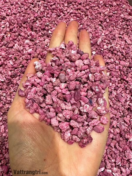Vụn Ruby Thả Bể Cá Tiểu Cảnh