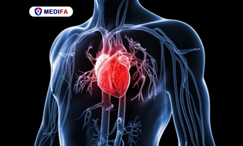 Bệnh tim mạch và huyết áp ở người cao tuổi: 