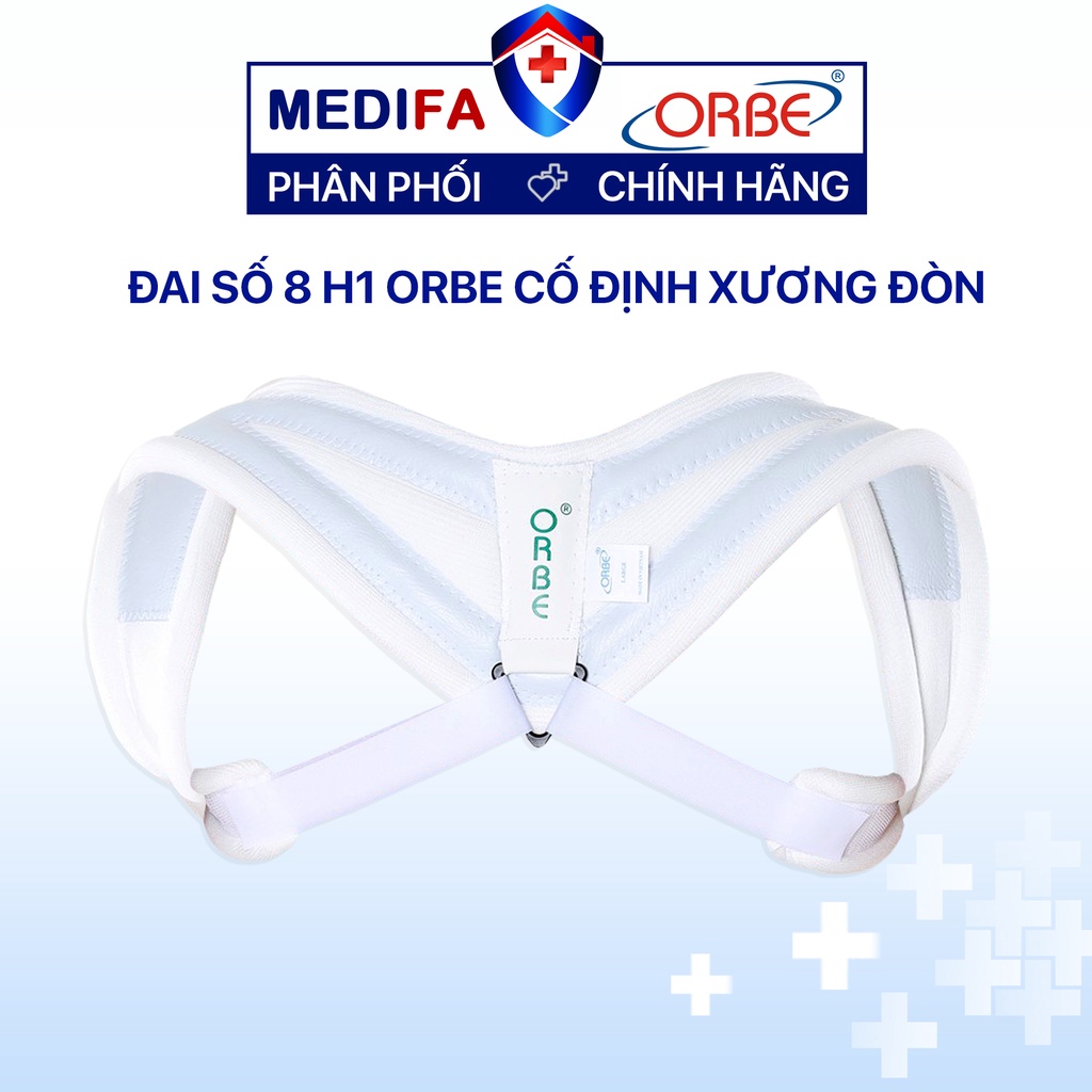 Đai số 8 H1 Orbe