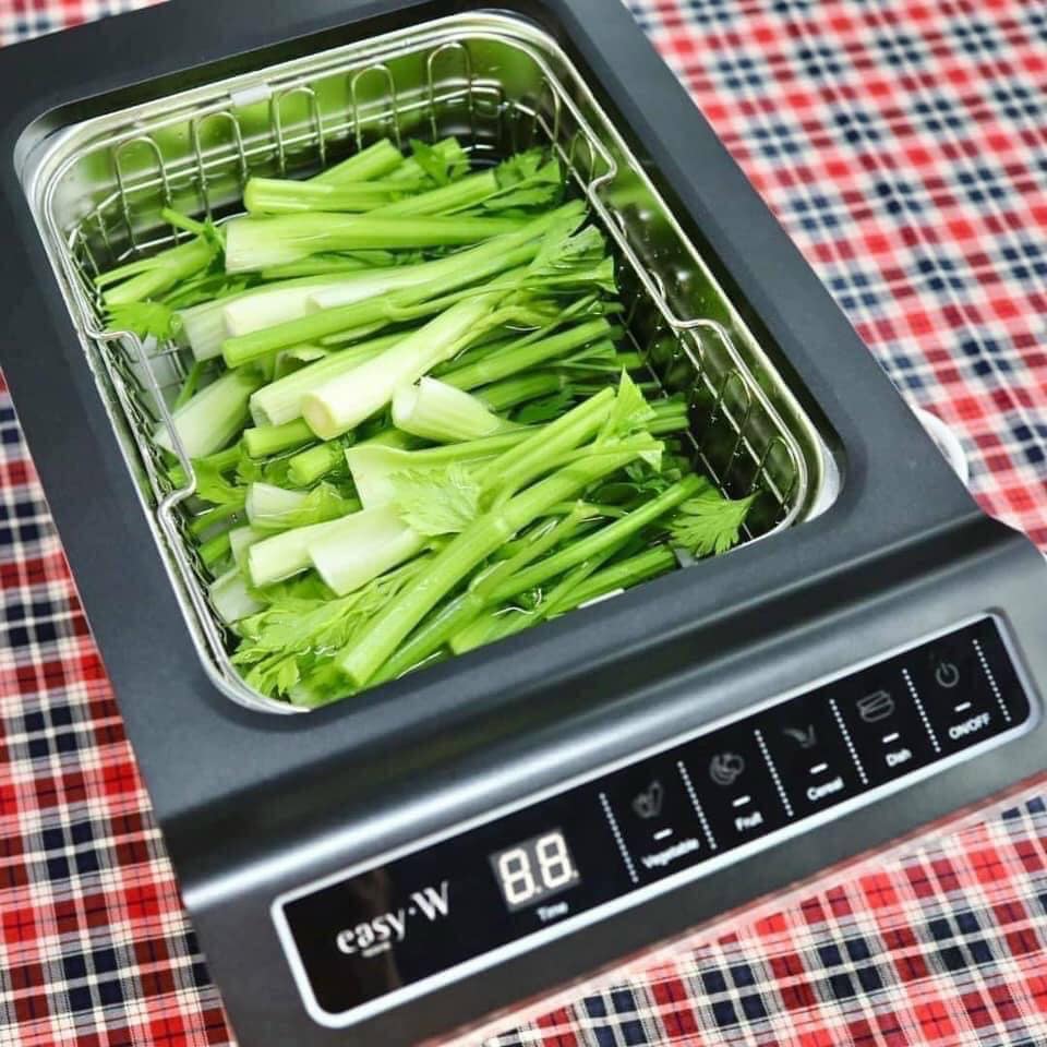 MÁY LÀM SẠCH BỤI BẨN, HOÁ CHẤT TRÊN THỰC PHẨM EASY W