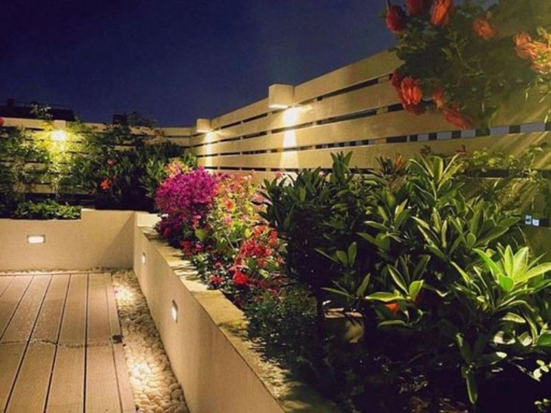 Đèn LED trang trí tiểu cảnh