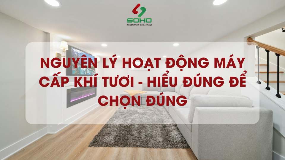 Nguyên lý hoạt động máy cấp khí tươi - Hiểu đúng để chọn đúng