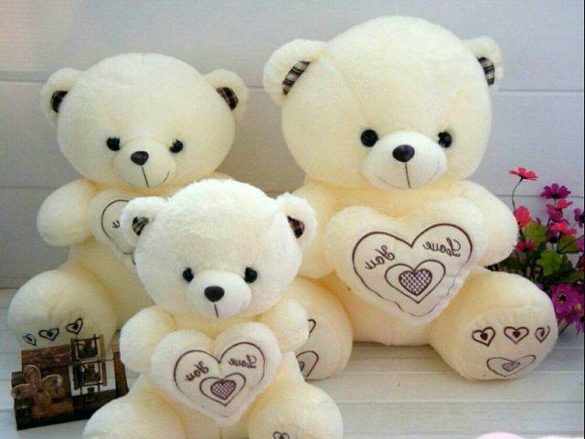 Cách giữ cho gấu bông luôn mới! có thể bạn chưa biết! Cách giữ cho gấu bông luôn mới! có thể bạn chưa biết!