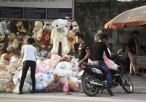 Sự thật không ngờ về sự khác nhau gấu bông cao cấp và gấu bông giá rẻ?