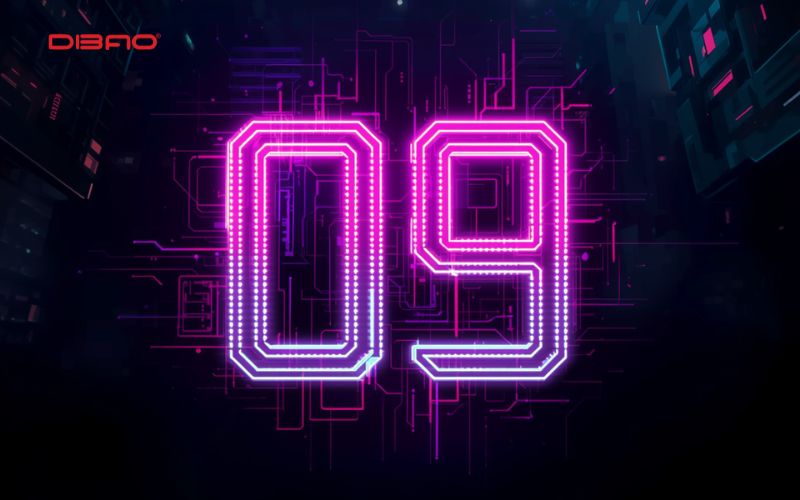 biển số xe 09 có ý nghĩa gì