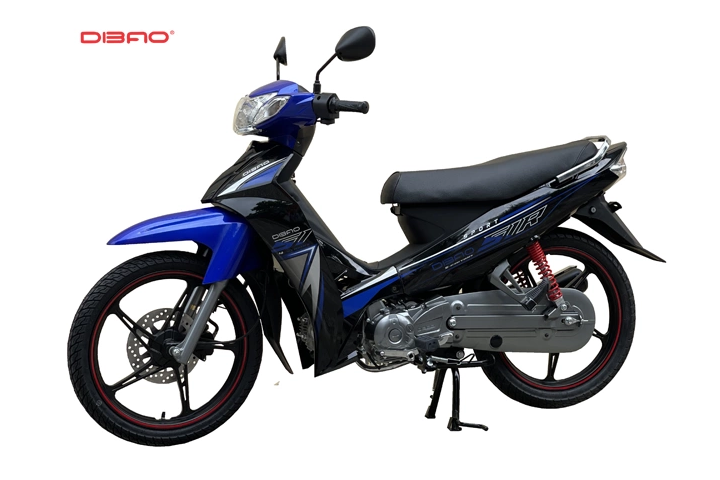 Đi xe 50cc có cần thi bằng lái xe không?