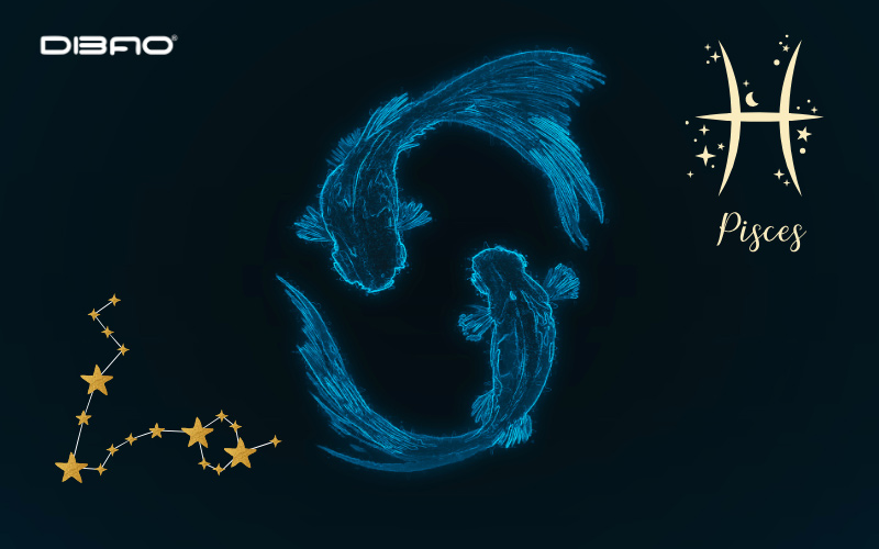 cung kim ngưu không hợp màu gì