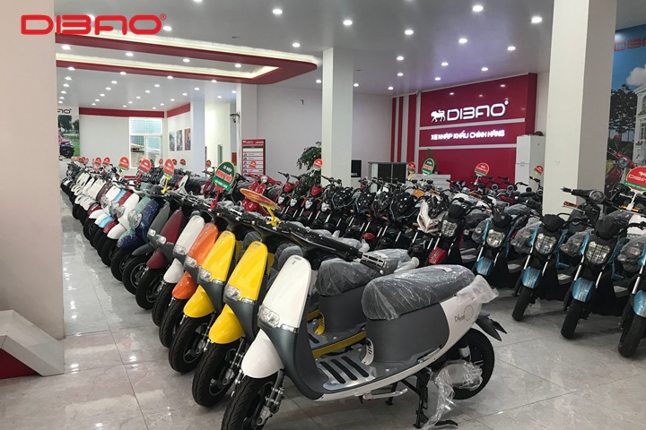 tuổi Tuất mua xe màu gì