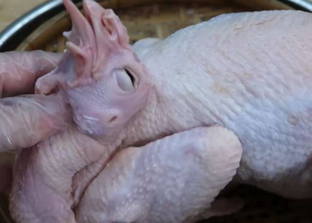Sơ chế gà cùng với muối