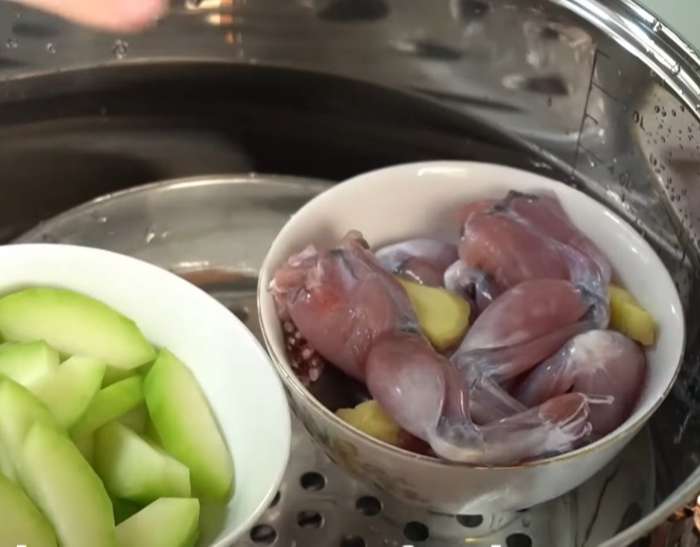 Hấp bí đao cùng thịt ếch cho chín