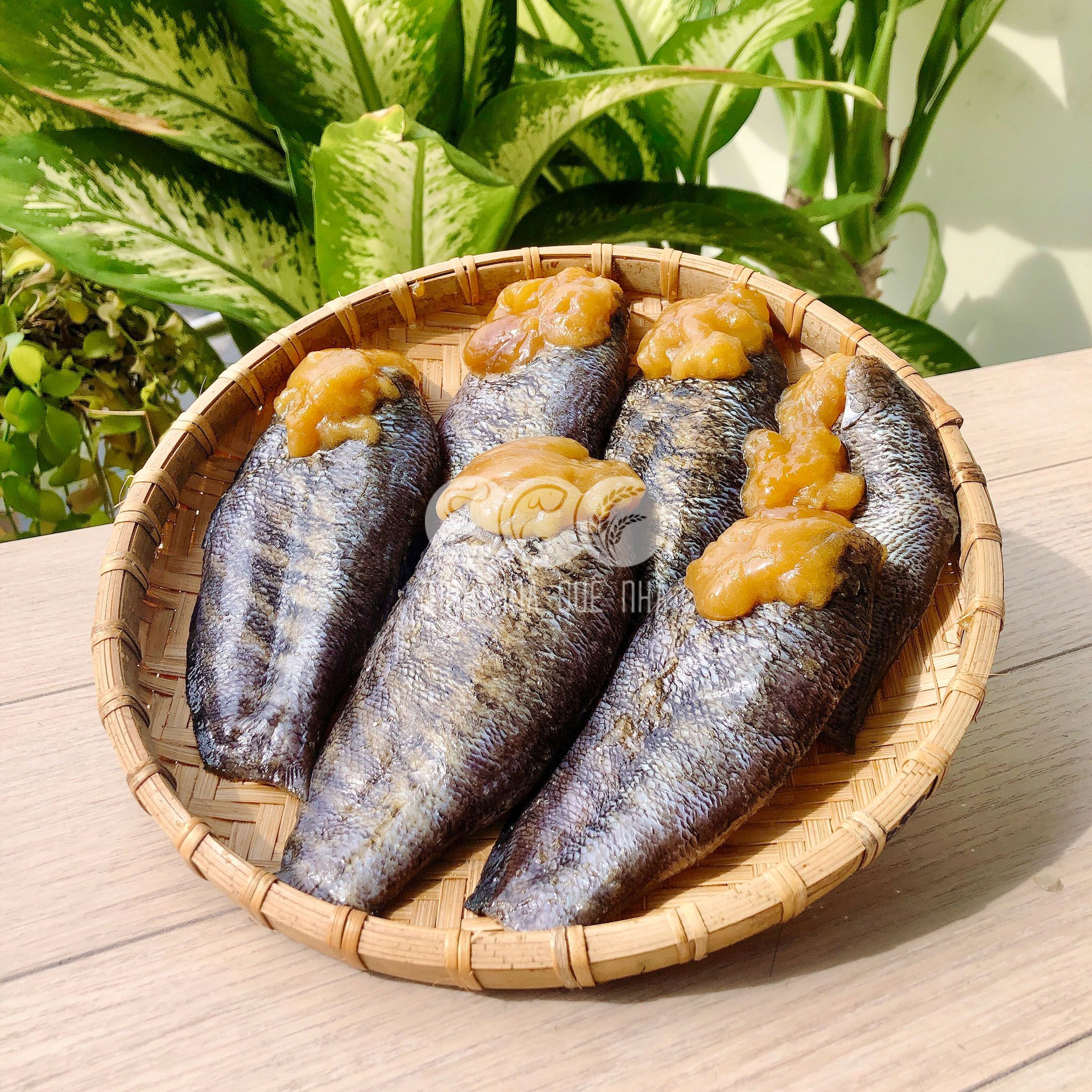 cá sặc trứng 1 nắng