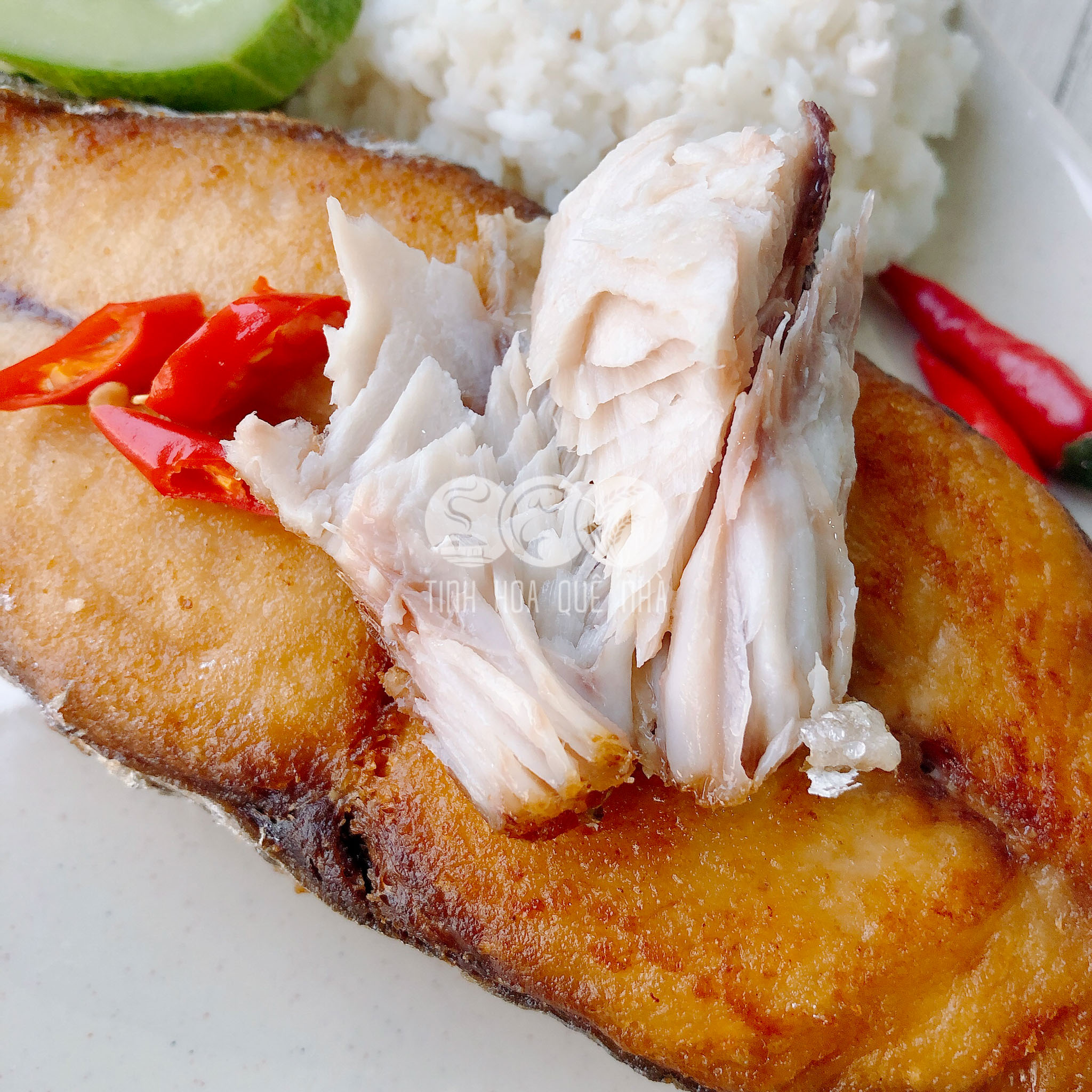 cá thu 1 nắng Vũng Tàu
