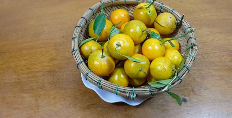 Nguyên liệu làm tắc xí muội không bị đắng