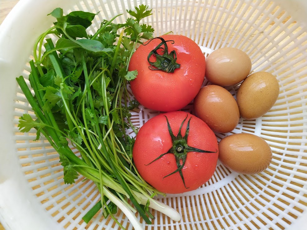 cách làm trứng rán cà chua