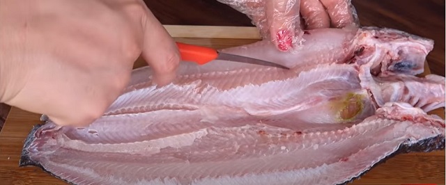 sơ chế cá lóc  sơ chế cá lóc để làm khô cá lóc 1 nắng