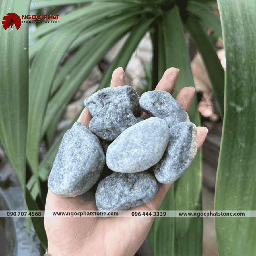 SỎI XANH XÁM TỰ NHIÊN