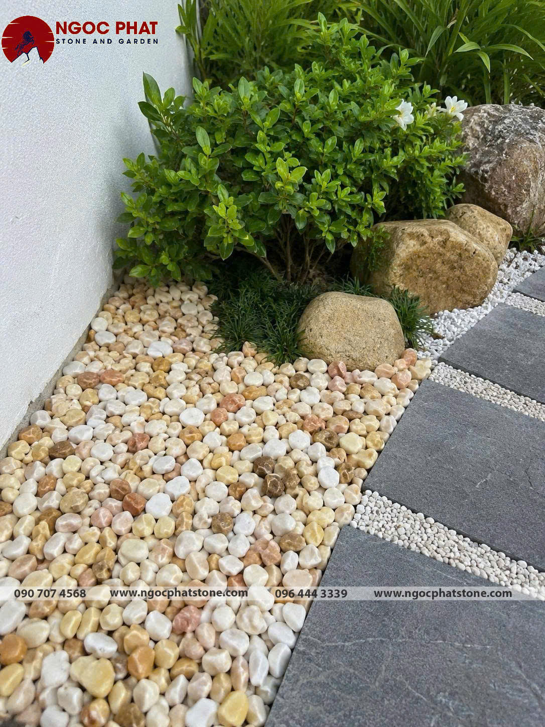 SỎI VÀNG QUAY TỰ NHIÊN