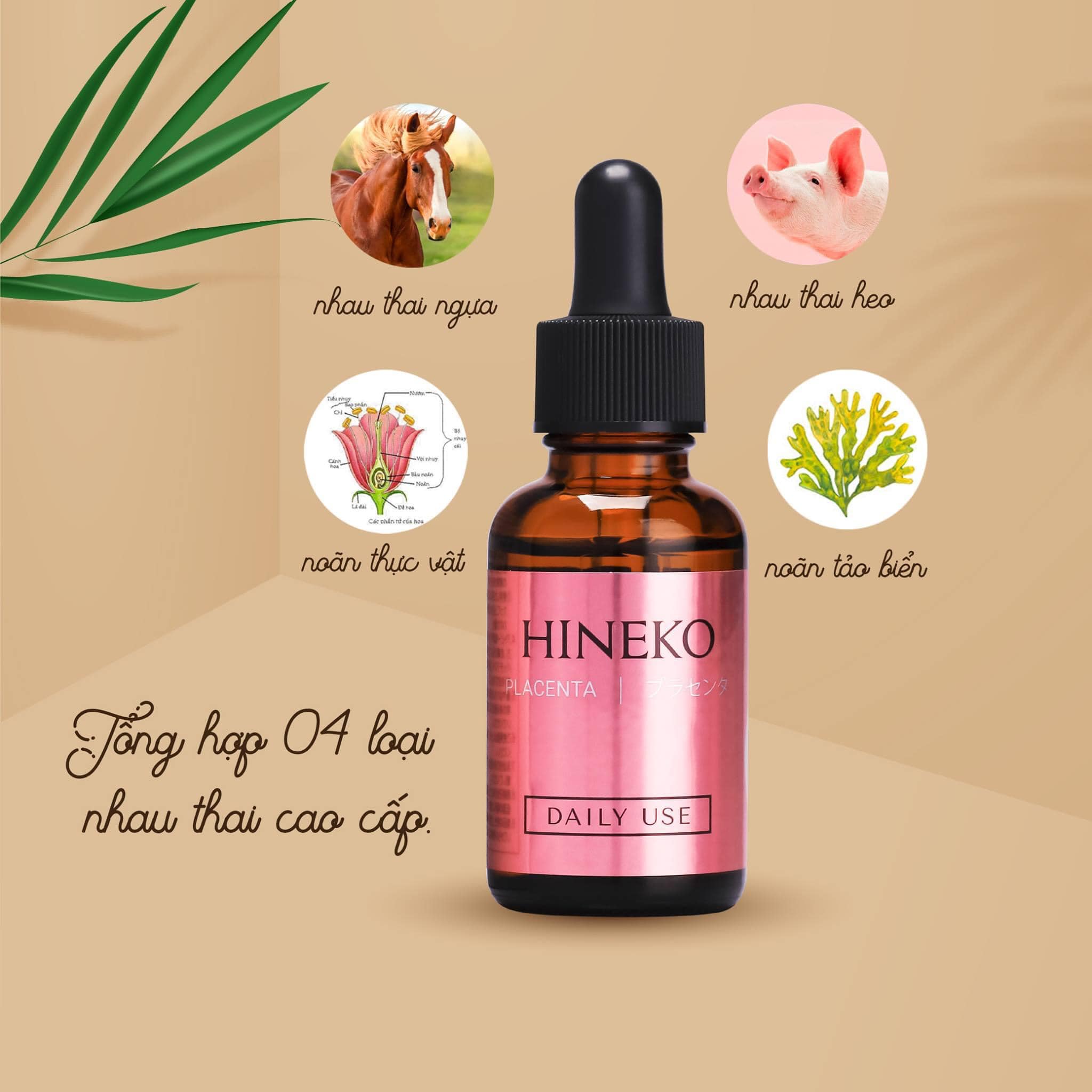 Hineko Placenta Super Essence là sự kết hợp của 4 thành phần tinh chất nhau thai.