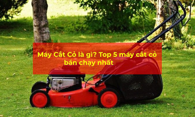 Top 5 máy cắt cỏ được ưa chuộng nhất hiện nay