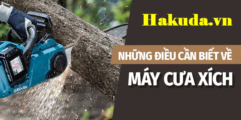 Những Điều Cần Biết Về Máy Cưa Xích