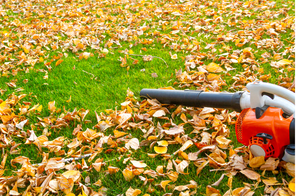 TOP 5 MÁY THỔI LÁ CÔNG SUẤT LỚN SIÊU MẠNH MẼ, BỀN BỈ