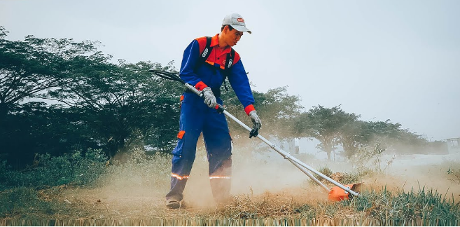 Máy xạc cỏ là gì? Máy xạc cỏ giá rẻ đáng mua nhất