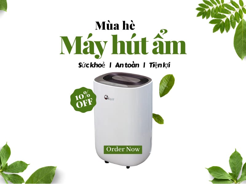 Mùa hè có cần dùng máy hút ẩm không? Dùng thế nào đúng cách?