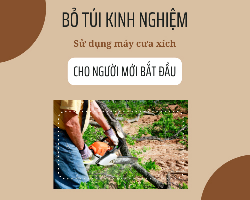 Bỏ Túi Kinh Nghiệm Sử Dụng Máy Cưa Xích Hiệu Quả Cho Người Mới