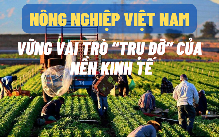 Nông nghiệp lập hàng loạt kỷ lục