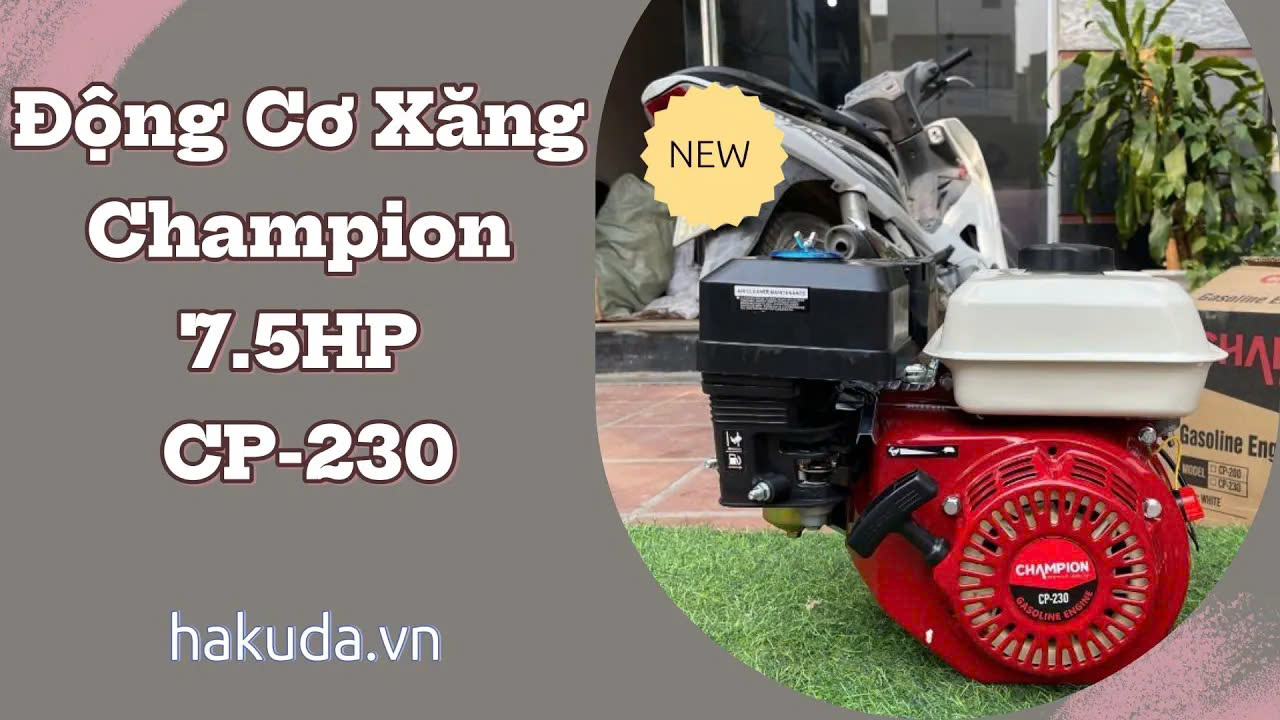 Máy Nổ – Động Cơ Xăng Champion 7.5HP CP-230 Chất Lượng Cao