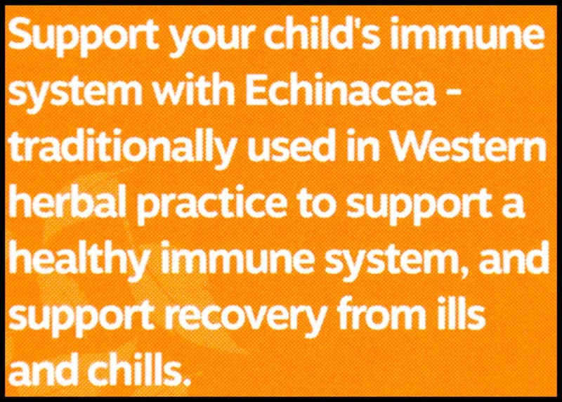 KiwiHerb tăng đề kháng hữu cơ Children's Organic Echinature cho bé từ sơ sinh