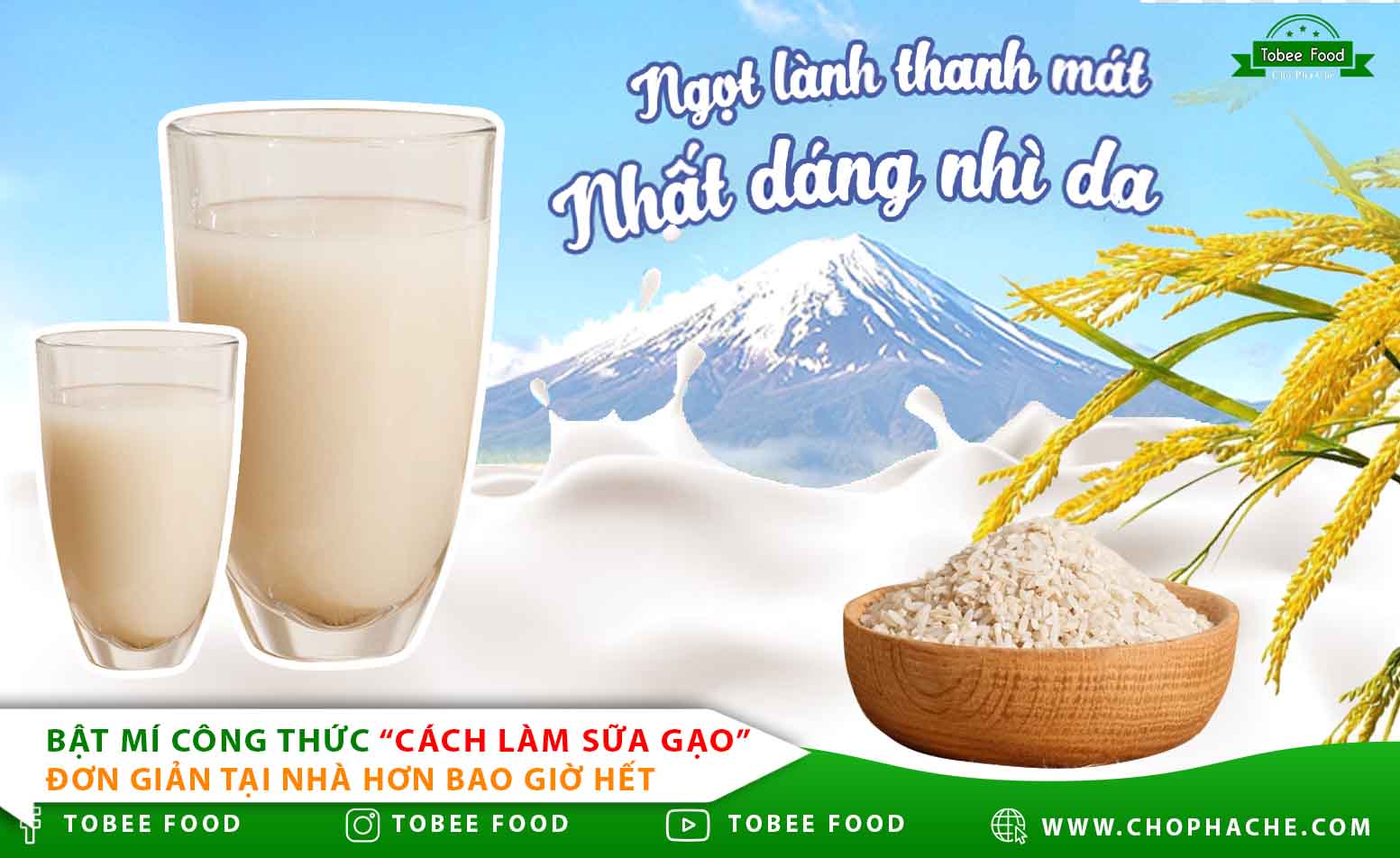 Cách làm sữa gạo thơm ngon bổ dưỡng tại nhà
