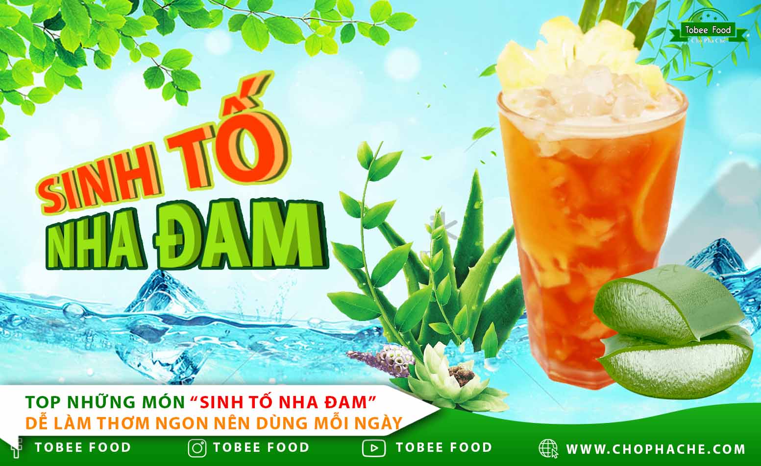 Top món sinh tố nha đam dễ làm, thơm ngon mỗi ngày