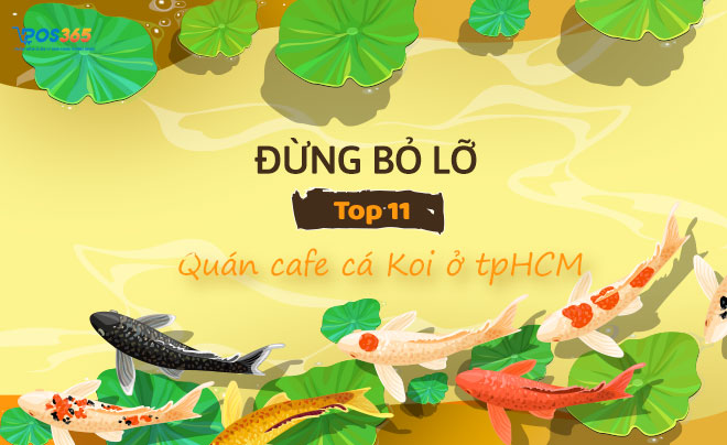 Top 11 quán cafe cá koi ở TP HCM đẹp quên lối về